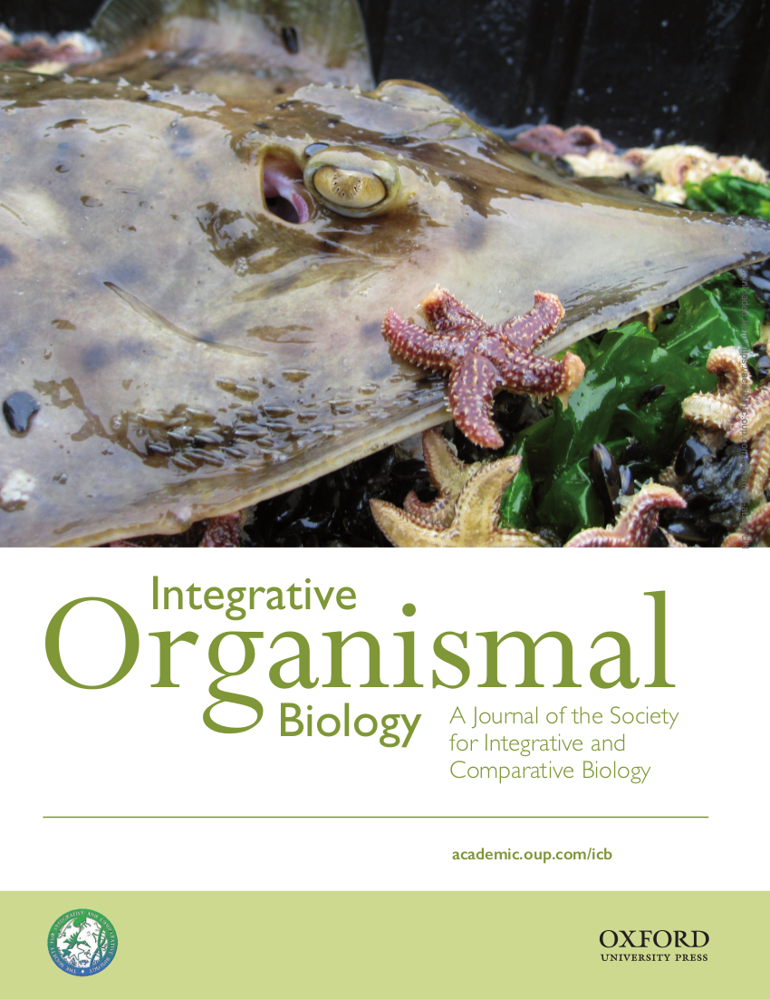 Martinez et al (2019), IOB